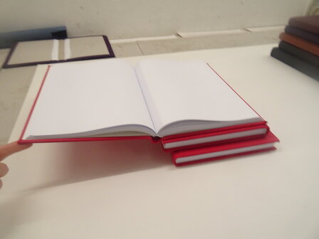 Rood lederen dummy boek