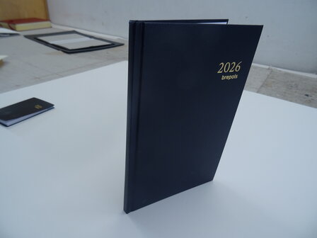 Agenda Brepols saturnus