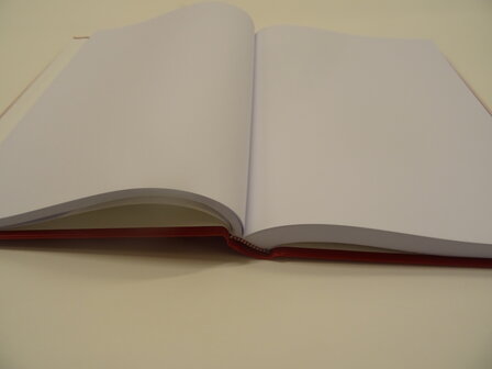 Het boek van de sint