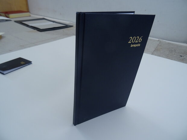 Agenda Brepols saturnus