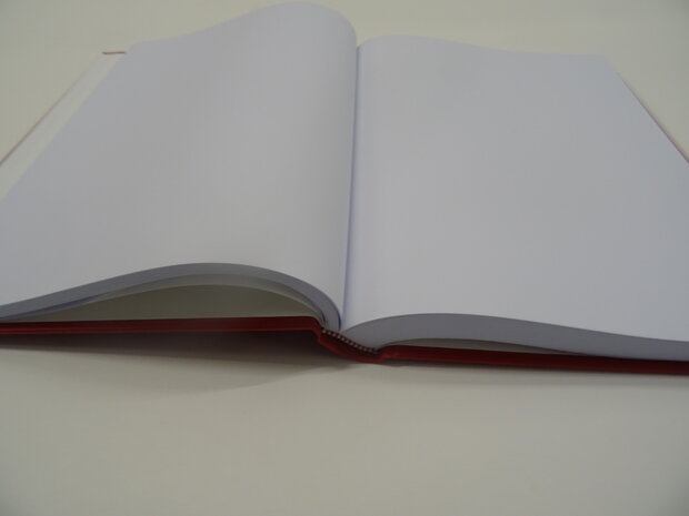 Het boek van de sint