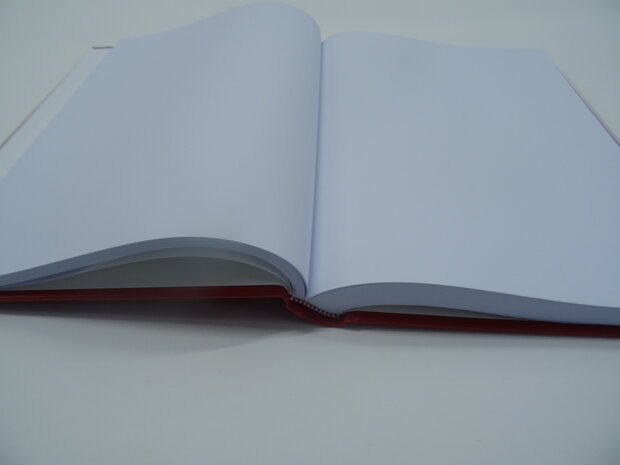 Het boek van de sint