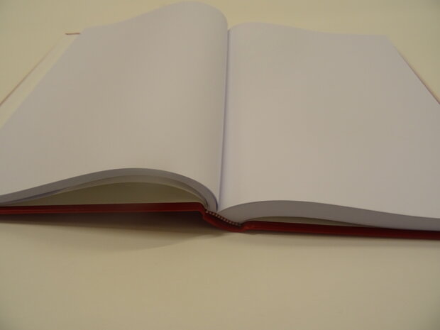 Het boek van de sint